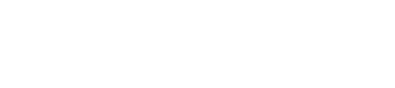 LD Security Services Logo